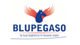 Blu Pegaso Unternehmensverkauf